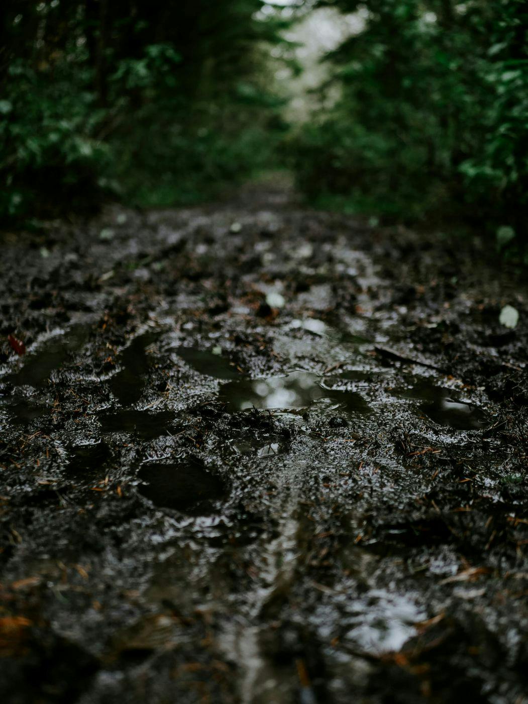 A deep mud road