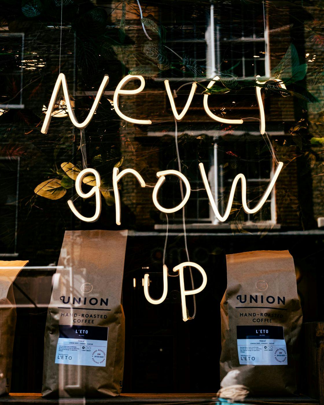 A white neon sign in a coffee shop reading Never Grow Up