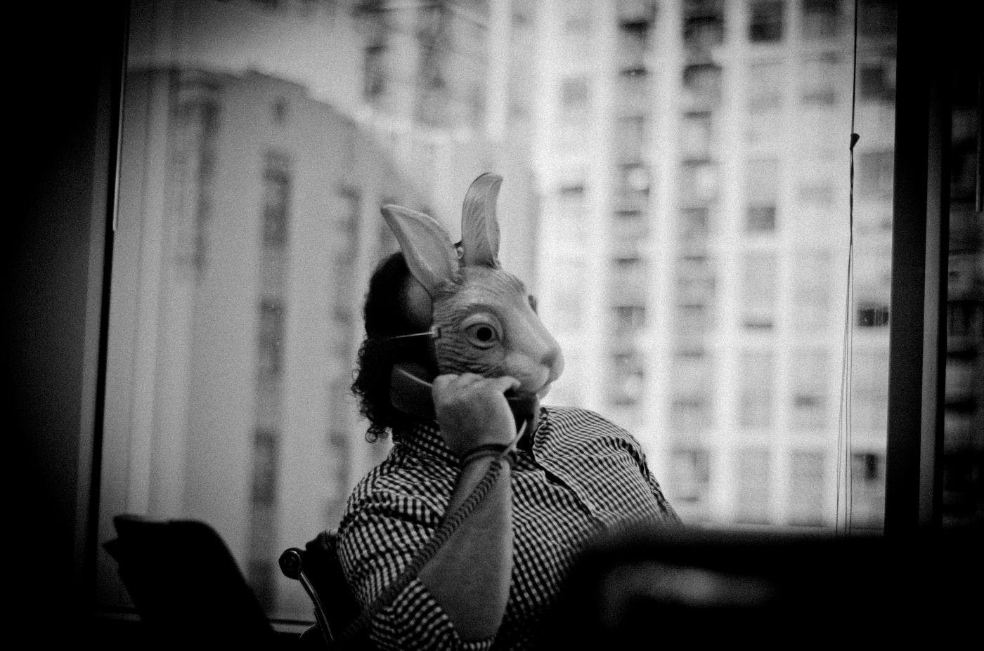 A guy in his office, on the phone, wearing a rabbit mask