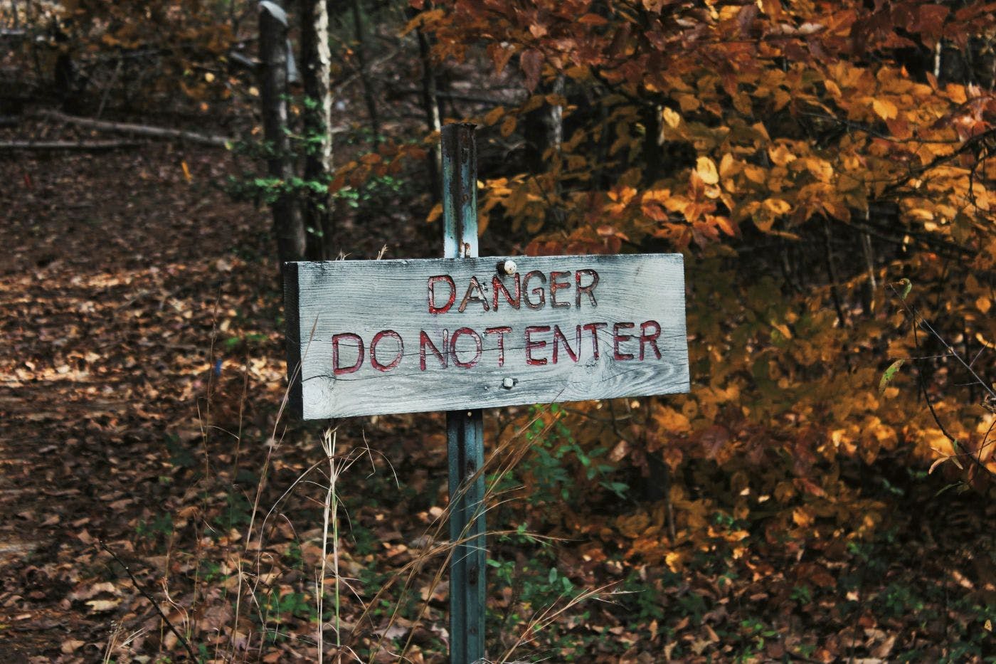A sign at the edge of the woods reading Danger Do Not Enter