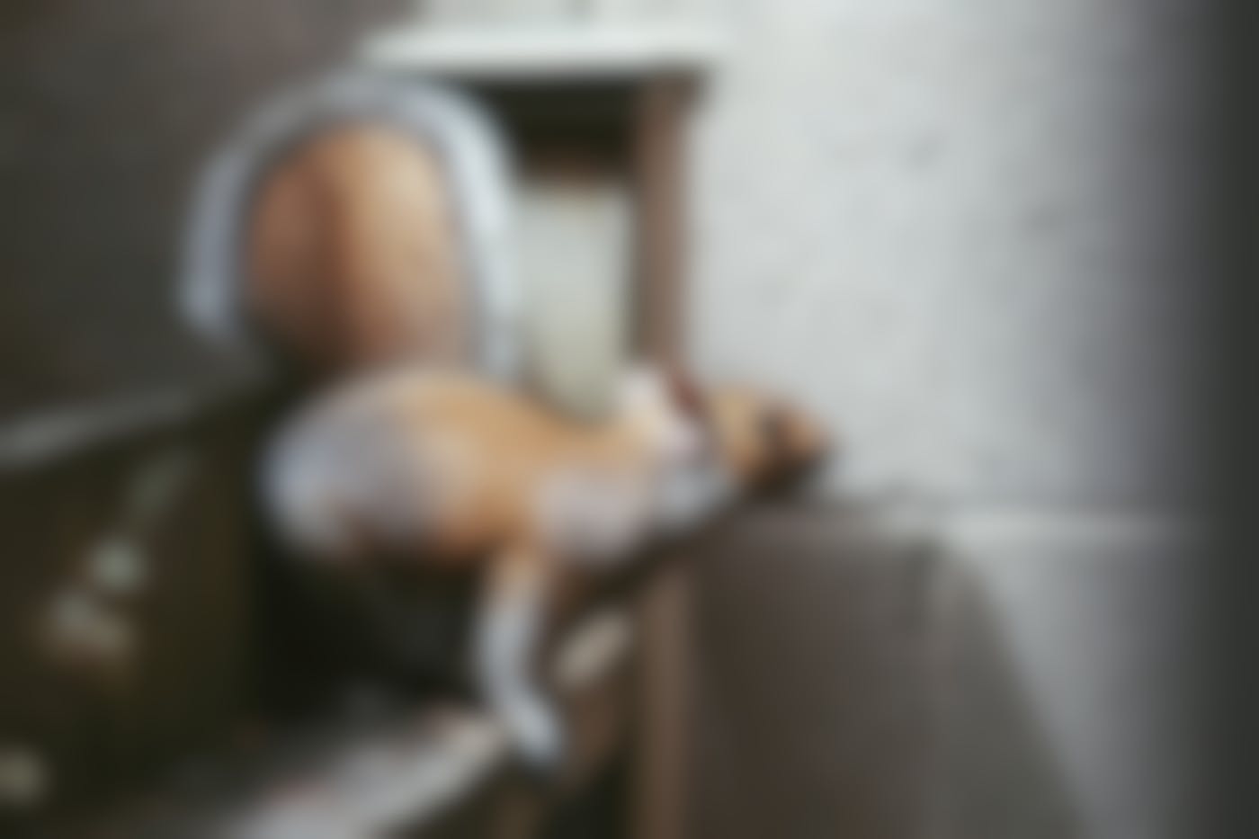 A squirrel ready to leap