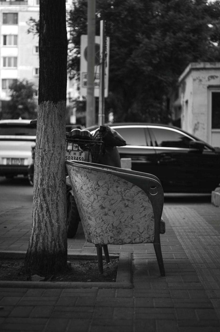 An easy chair leaning against a tree on the sidewalk