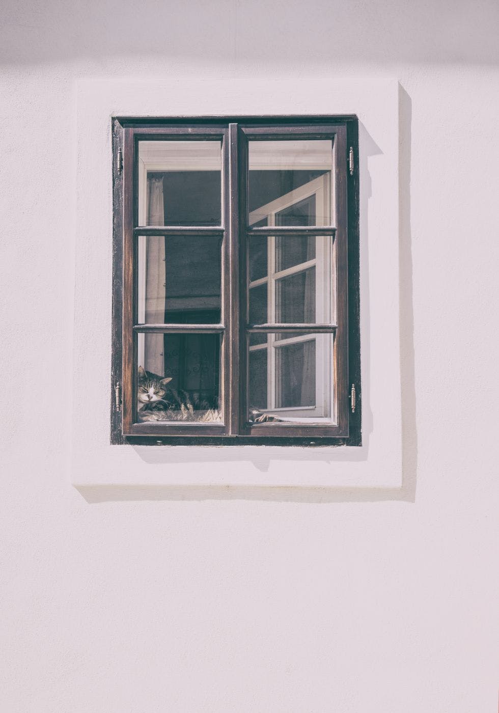 A painting of a cat in a window