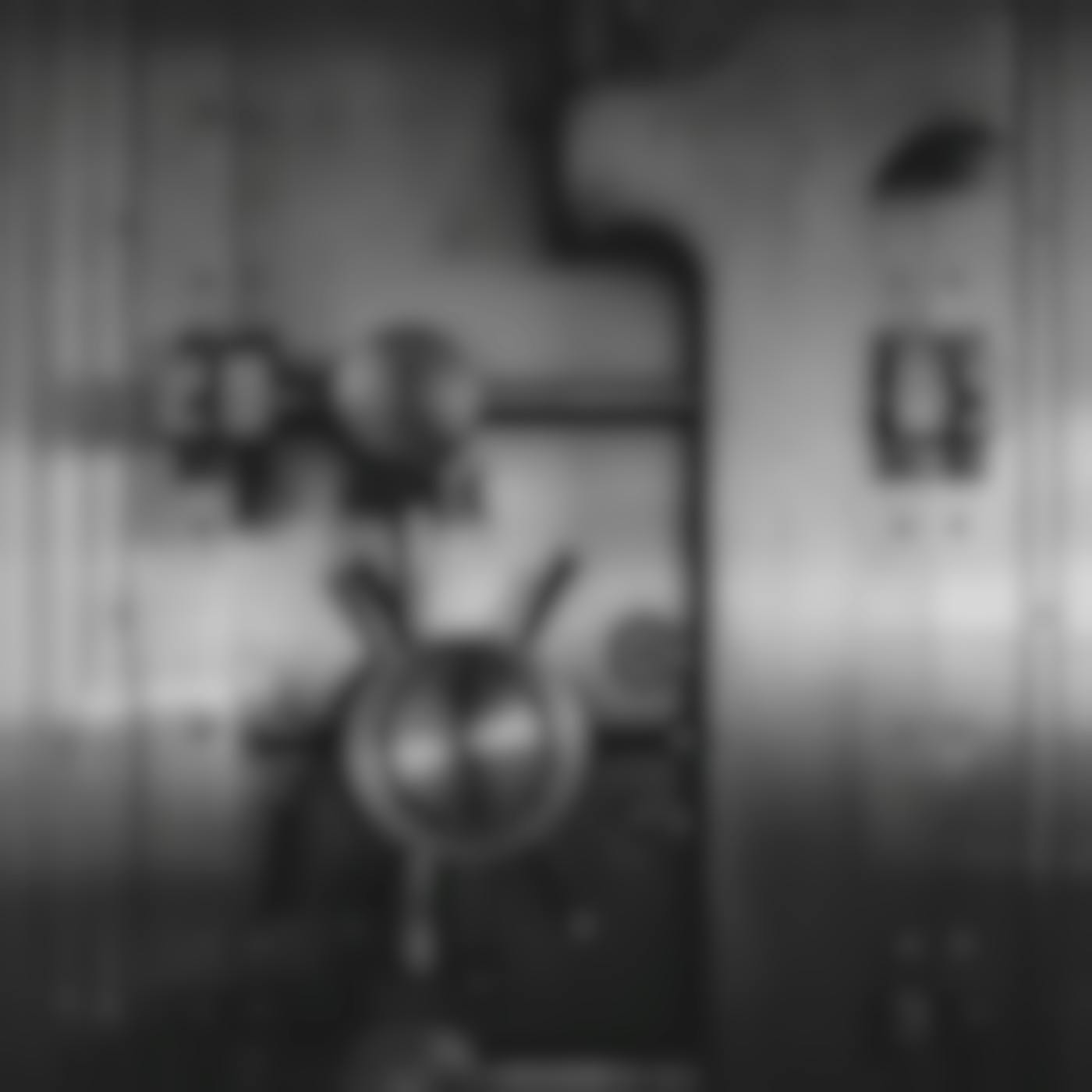 The door of a massive safe