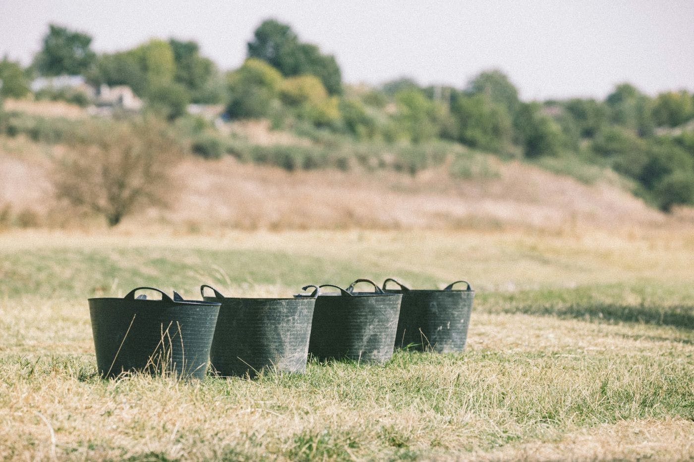 4 black buckets in a field