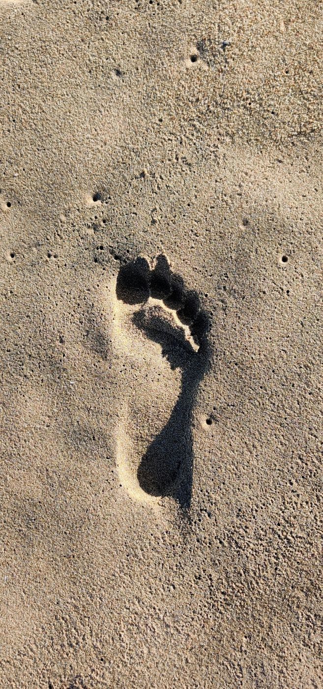 A human footprint in wet sand
