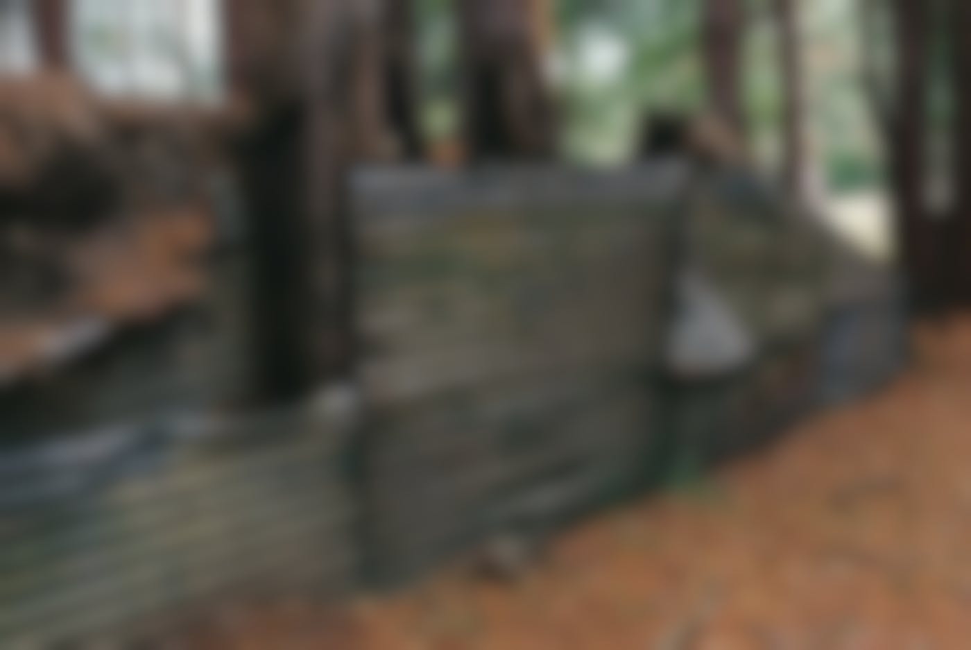 A corrugated metal bunker in the woods