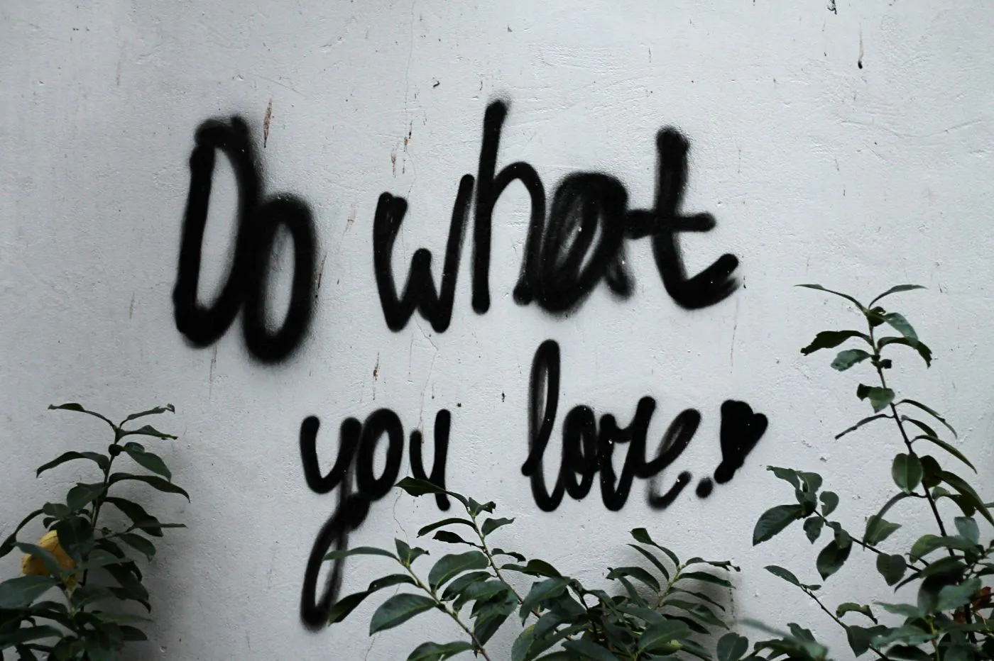 White wall with  black spray paint reading Do What You Love