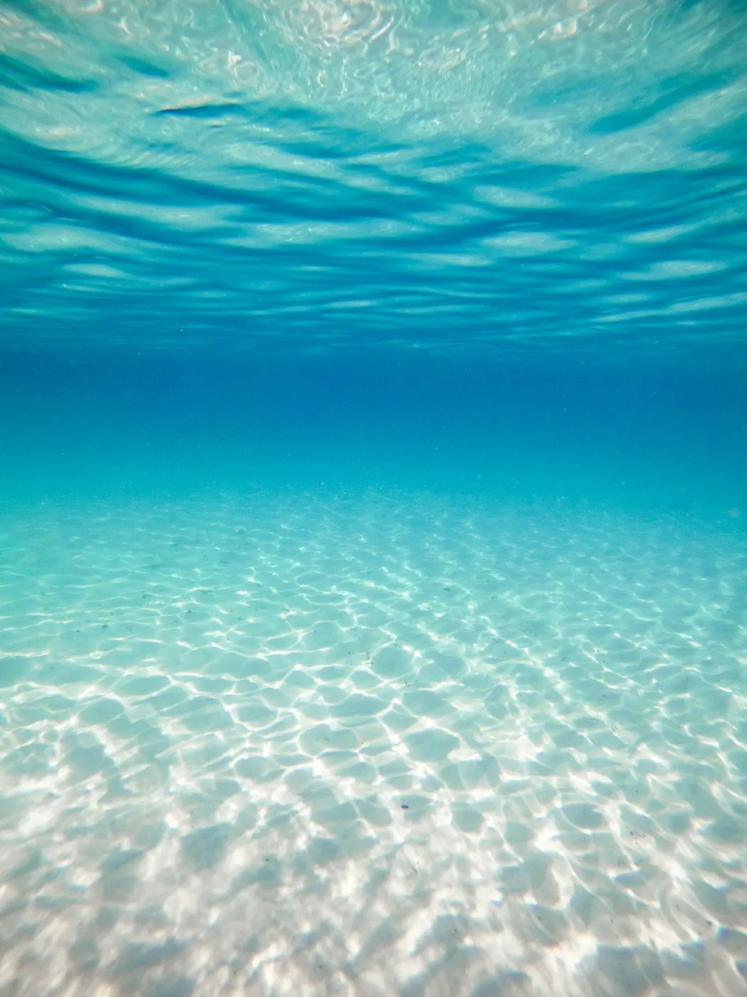 Underwater shot of a clear ocean and a sandy sea bed