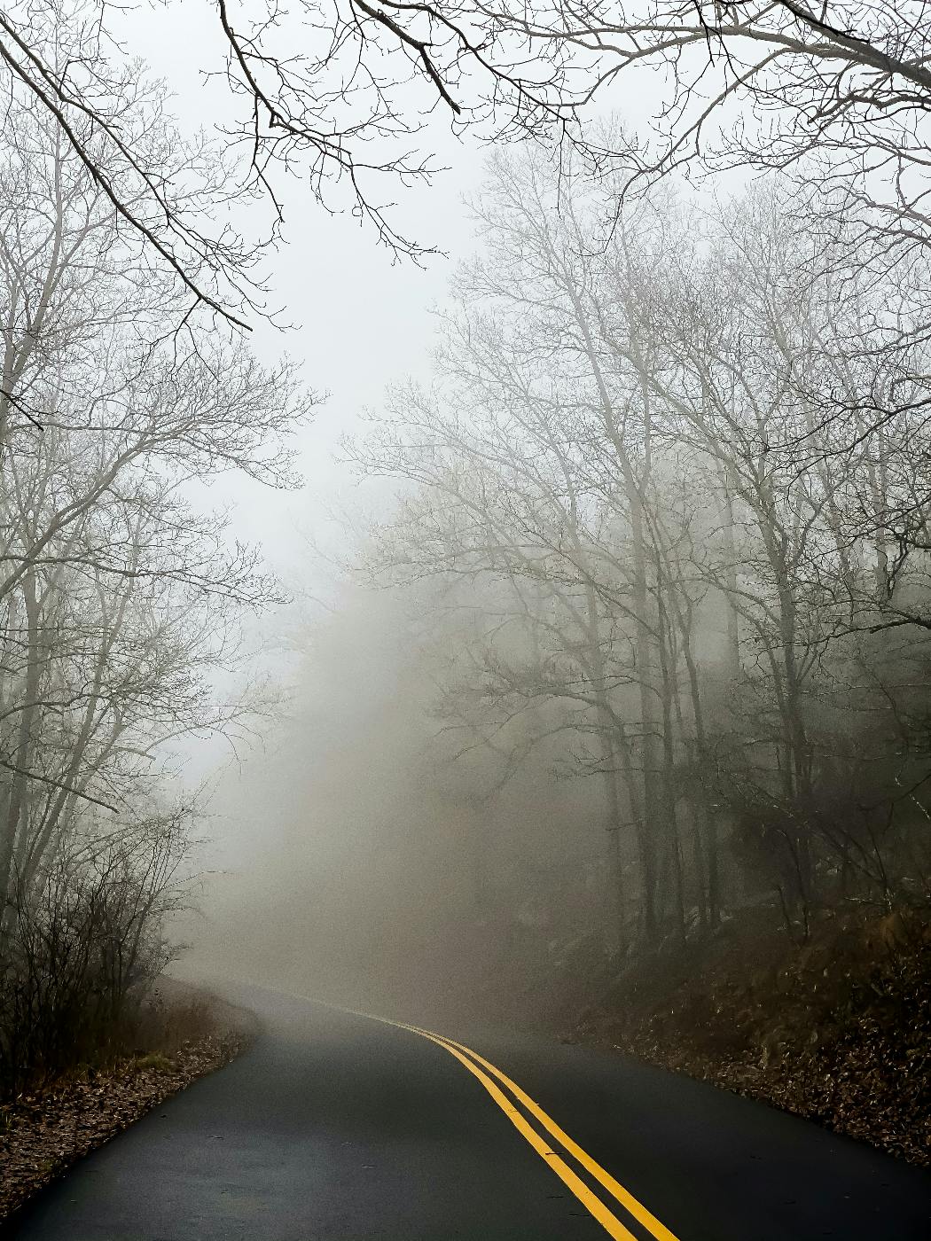 A paved road with bright yellow double lines gently curving off into a fog