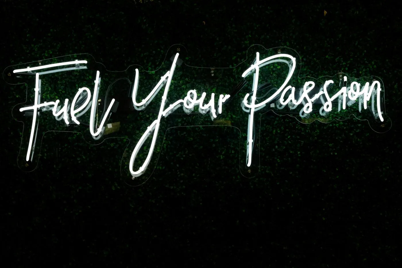 A white neon sign against a black backdrop reading Fuel Your Passion