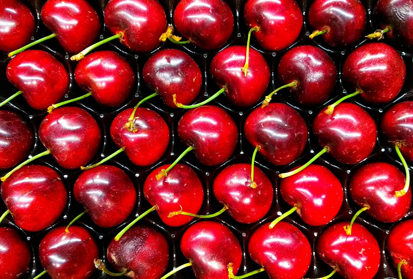 A rack of red cherries