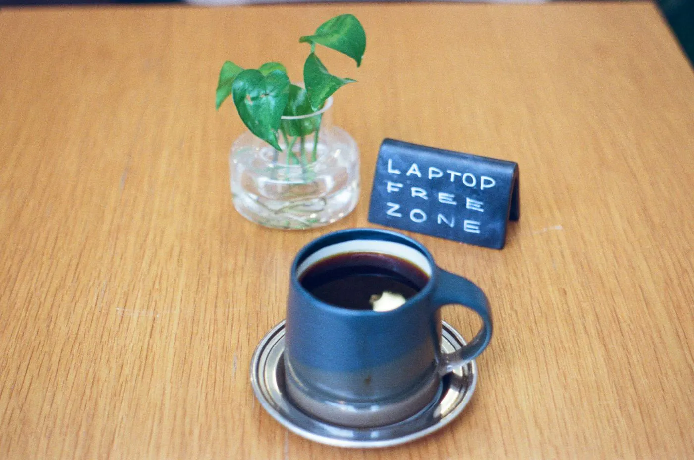 A blue cup of coffee, a small clear vase with leaves and a small sign reading  Laptop Free Zone