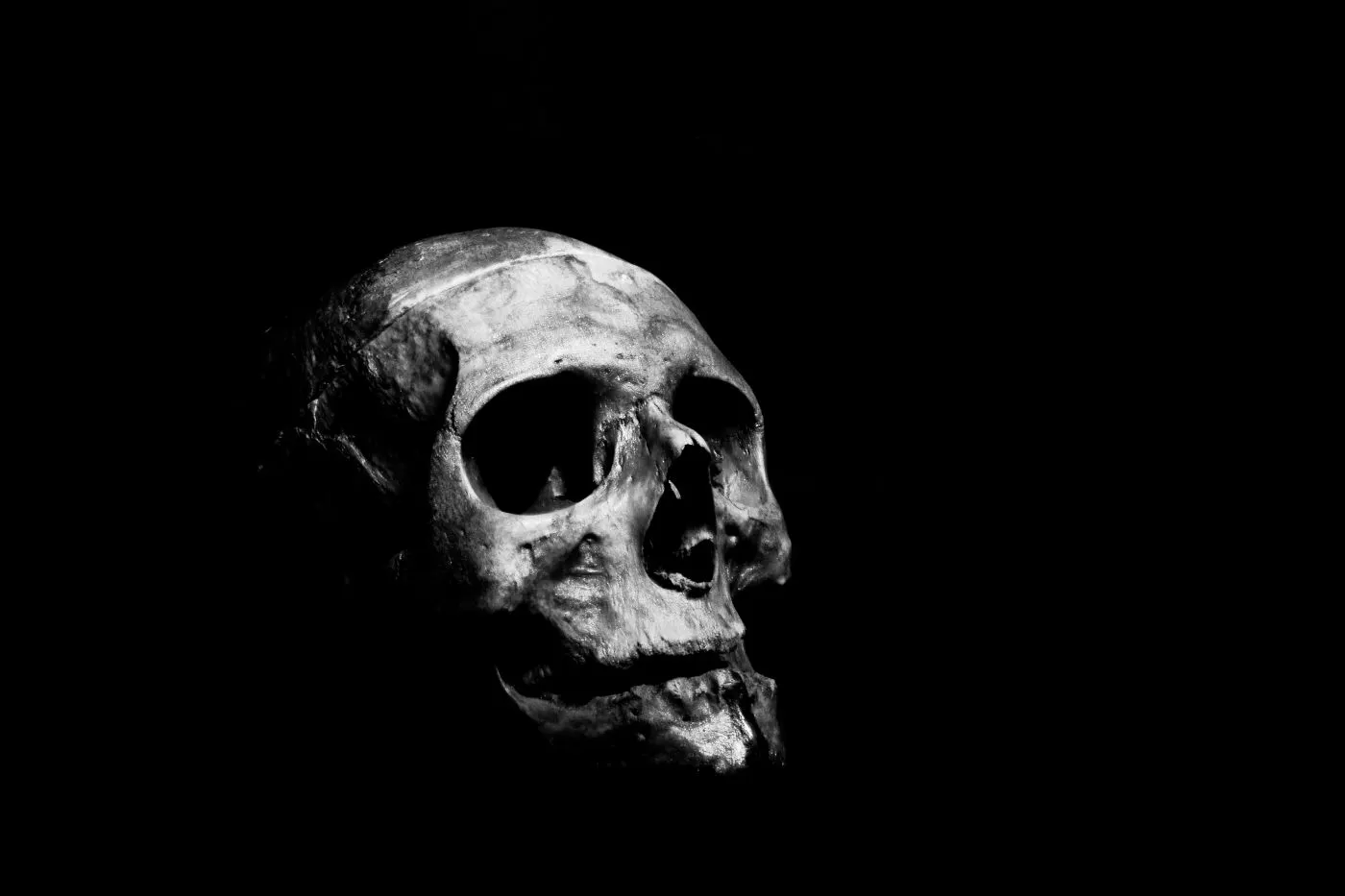 Black and white image of a human skull
