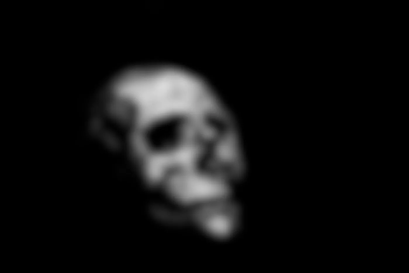 Black and white image of a human skull