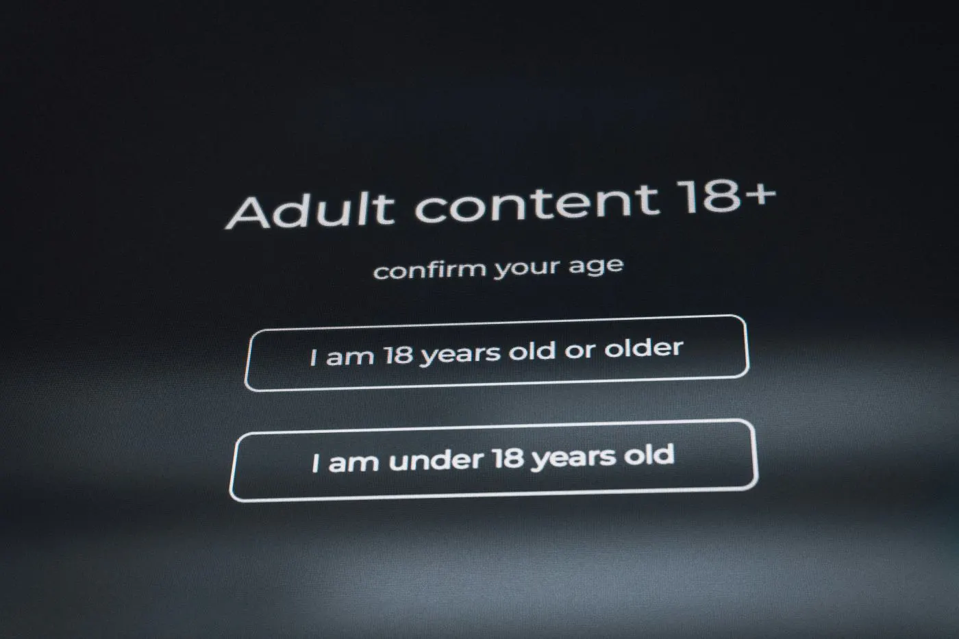 A computer screen with 18+ content and an age check