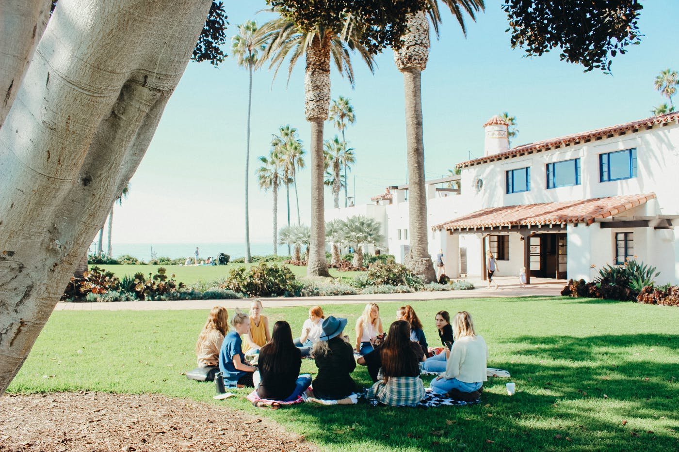 A group of women sitting in a circle on a lawn under a palm tree