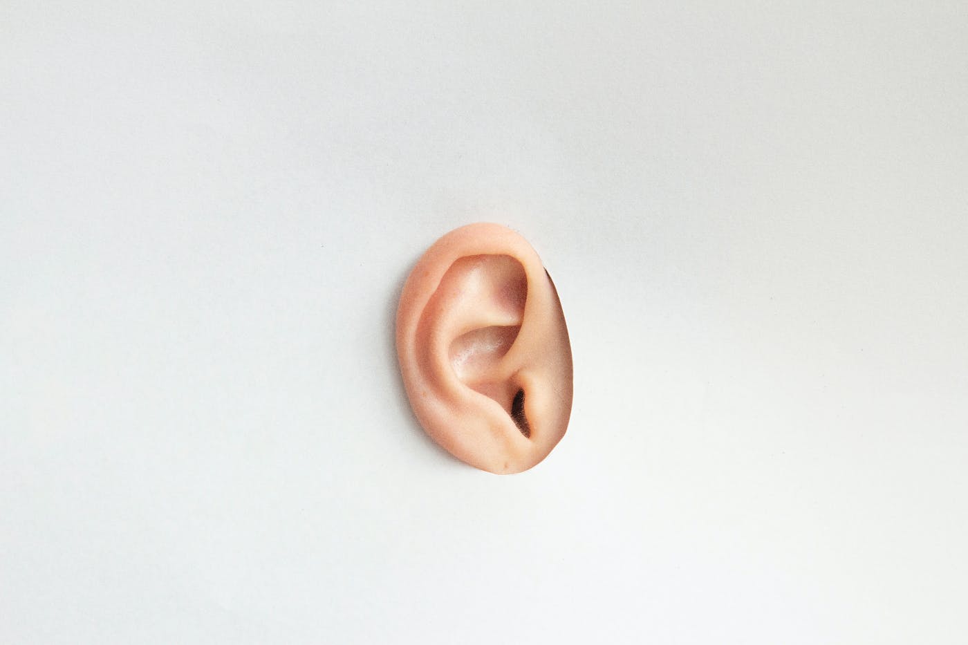 An ear