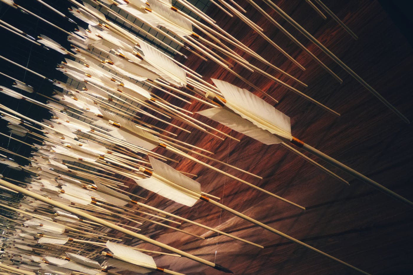 hundreds of white feathered arrows stuck in a wood wall