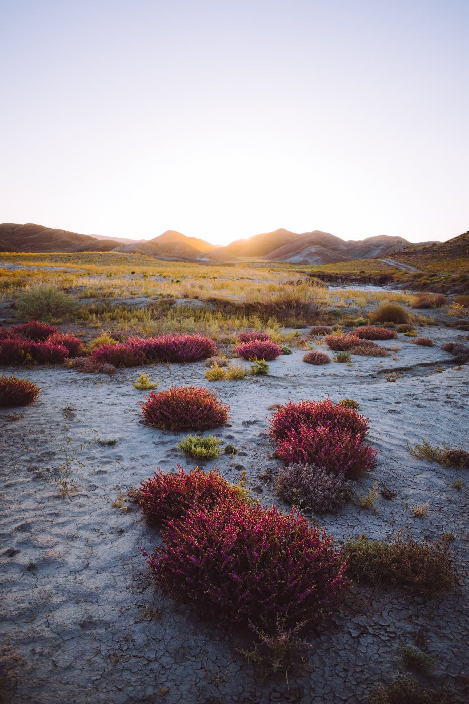 a desert plain with red sage and a river.