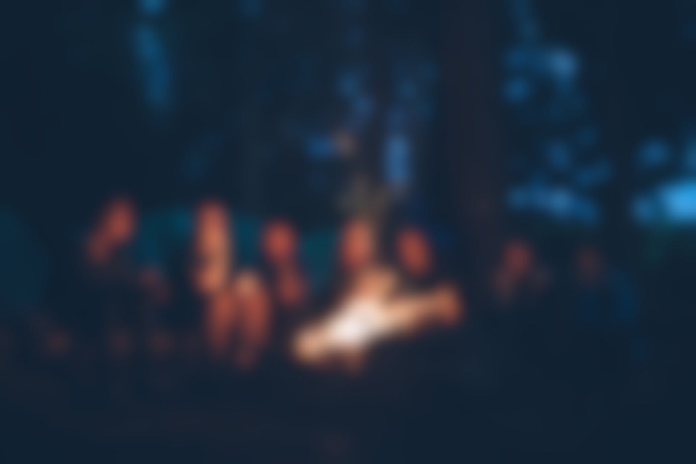 A group around a campfire