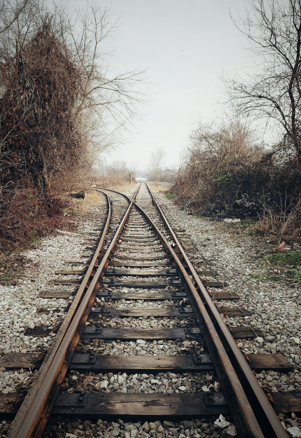 A train track diverging into two