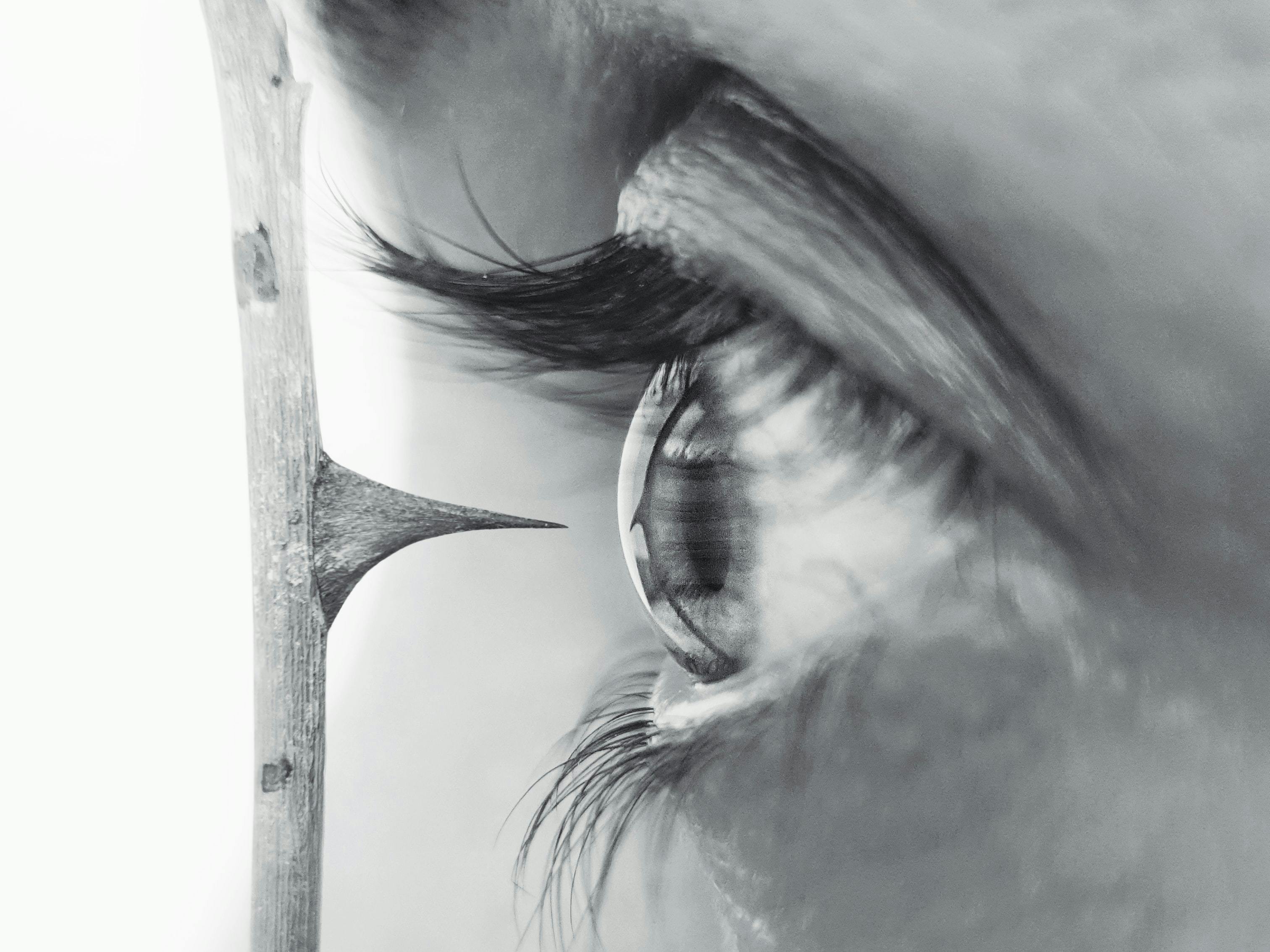A grey scale photo of a thorn millimeters away from and woman's eyeball