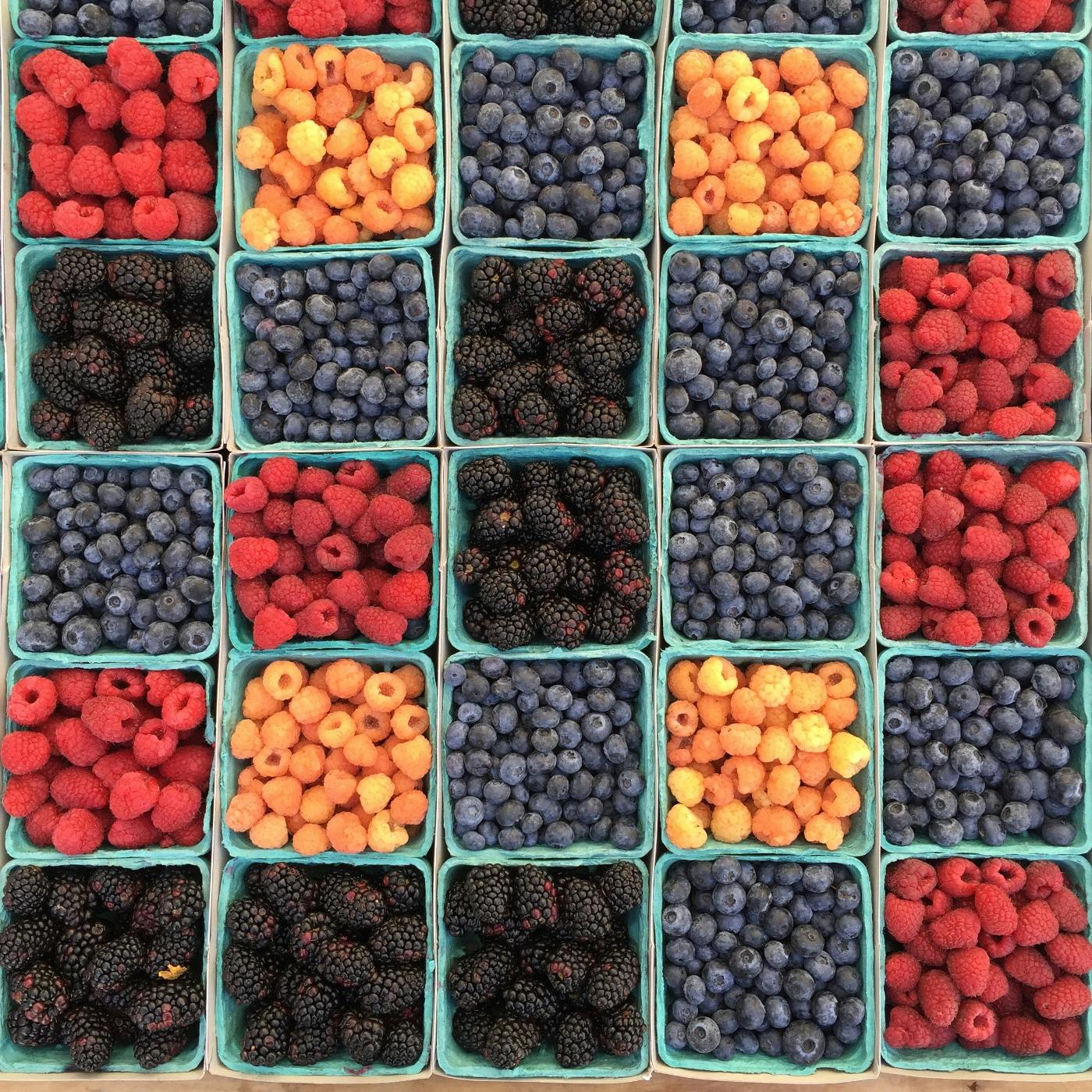 Small boxes filled with various berries 