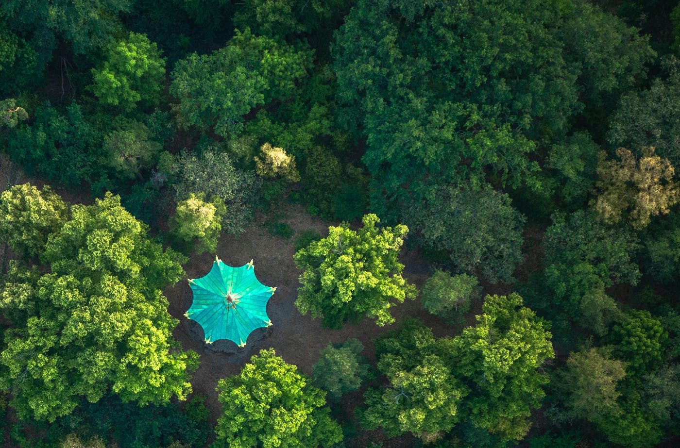 An overhead view of a copse of green trees and the blue roof of a gazebo.