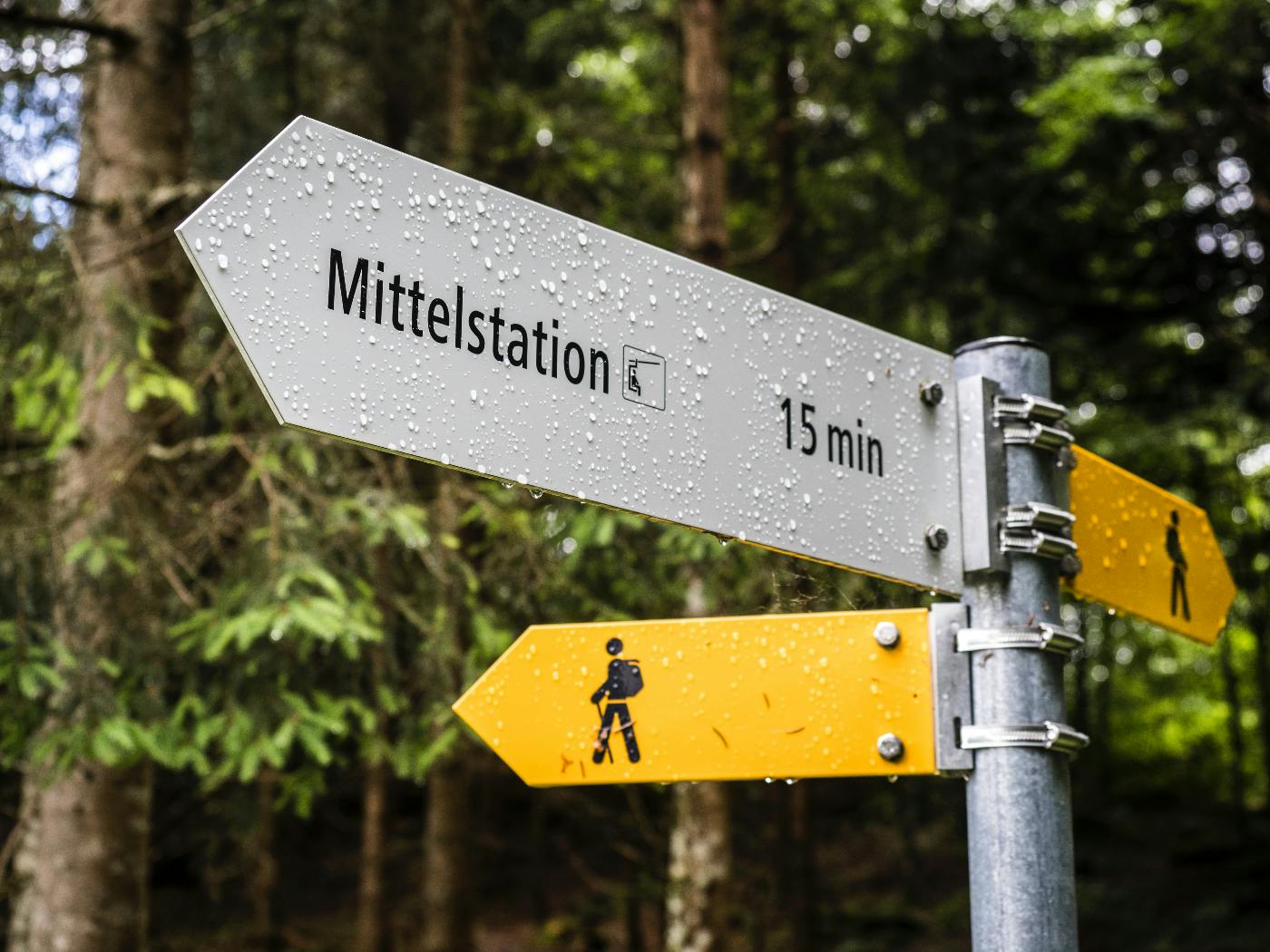A sign with Mittelstation pointing one way and images of people walking