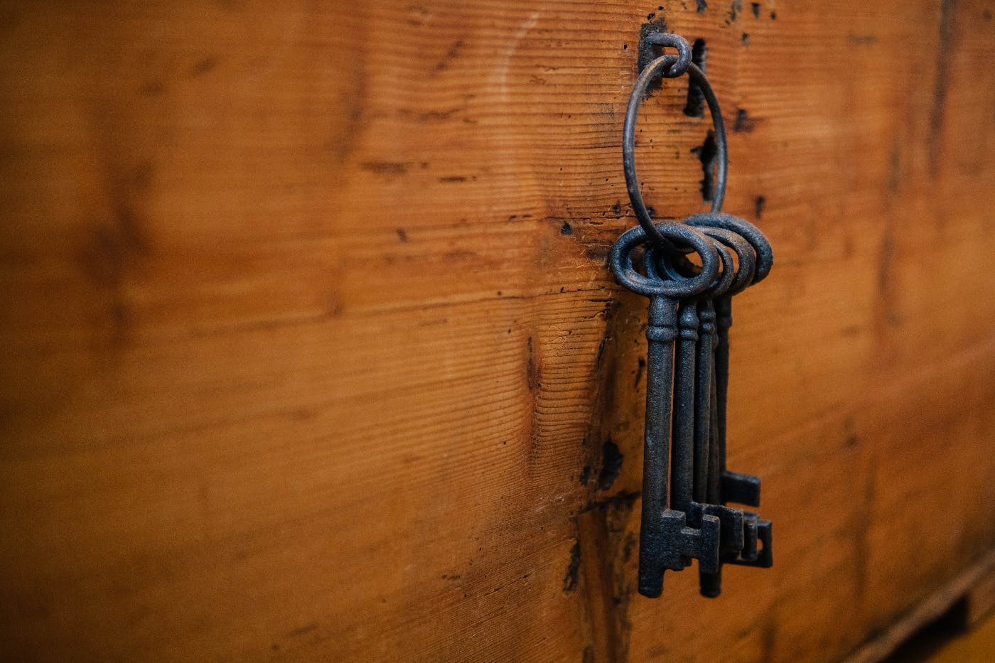 A ring of skeleton keys hanging on a wood wall