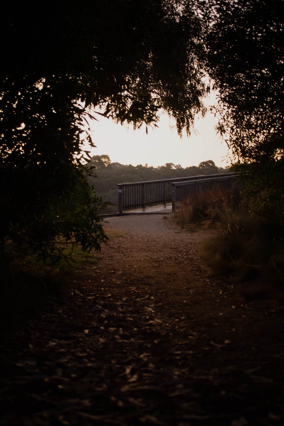 A dirt path leading to a bridge