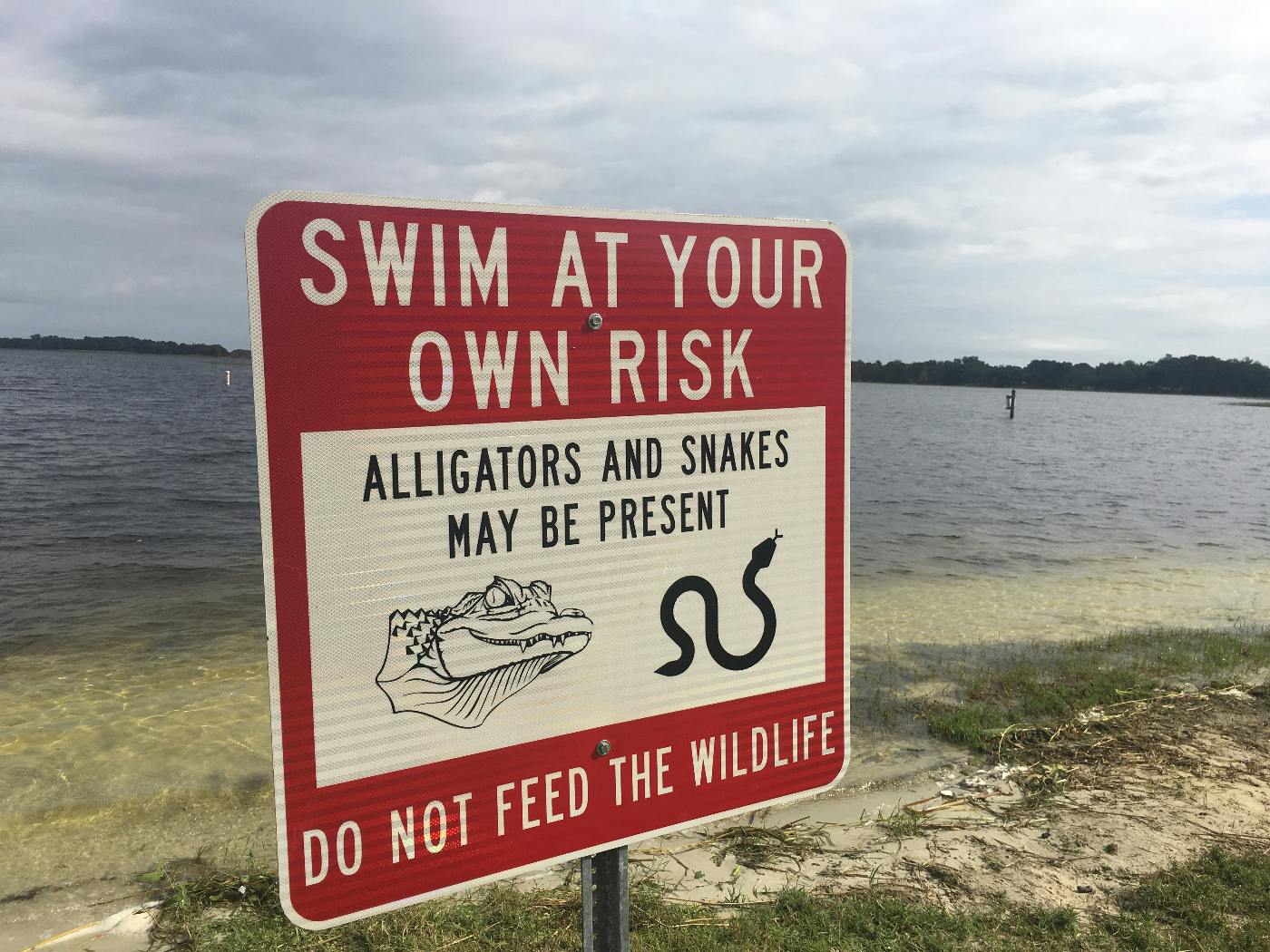 sign: Swim at your own risk, Alligators and snakes may be present, do not feed the wildlife