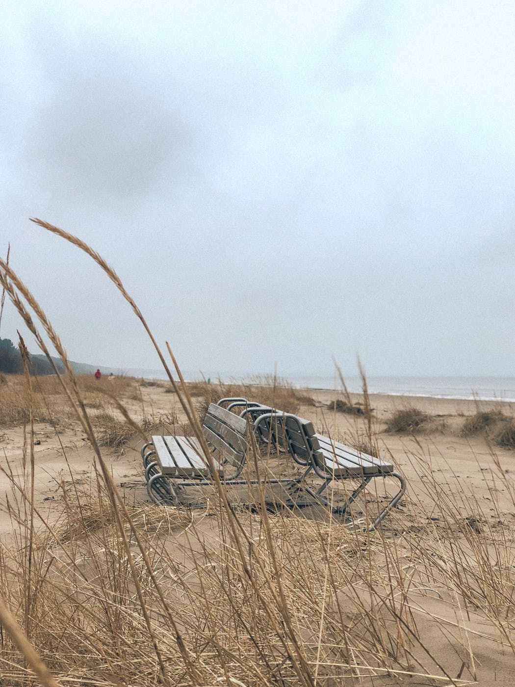 Two benches, back to back, on an empty windswept beach.