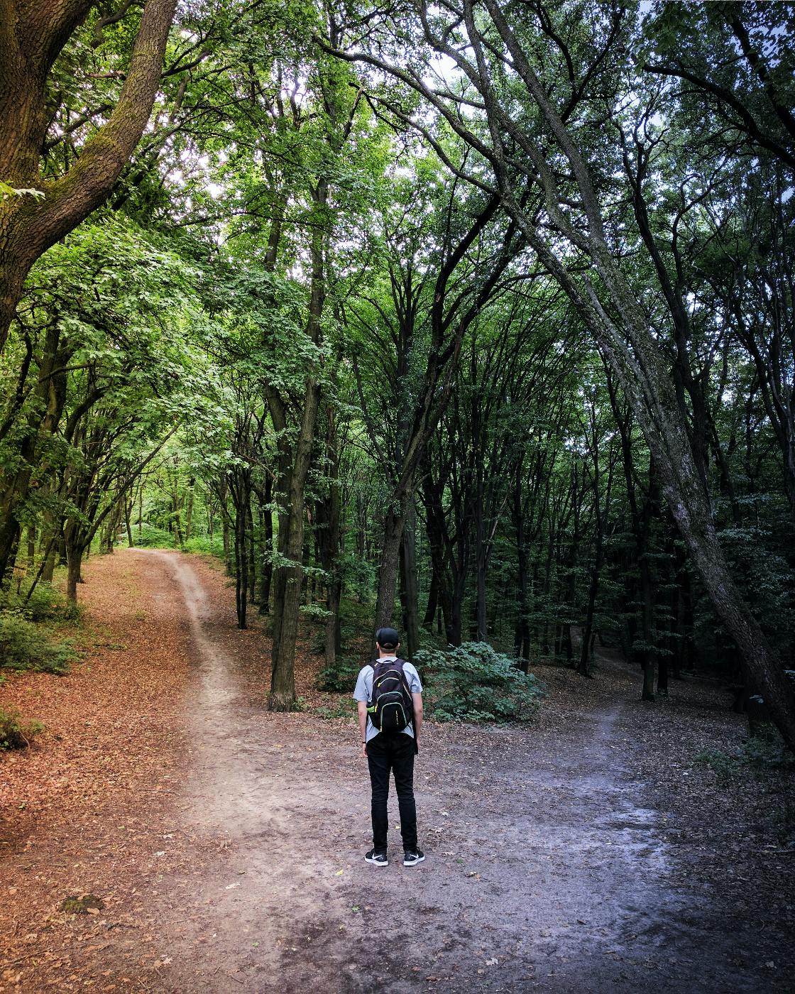 a man standing at the fork in a path in the woods
