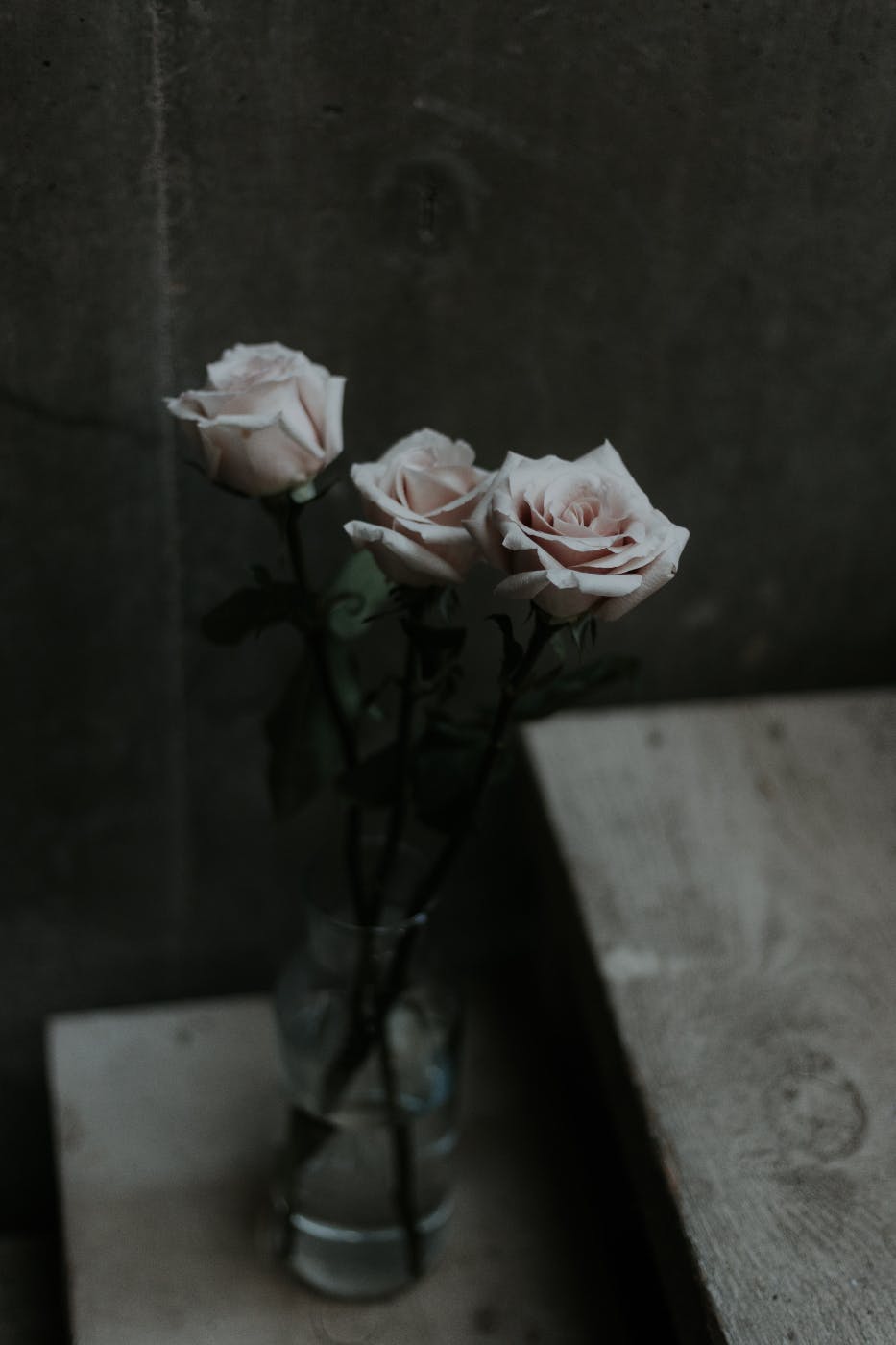 3 white roses in a vase