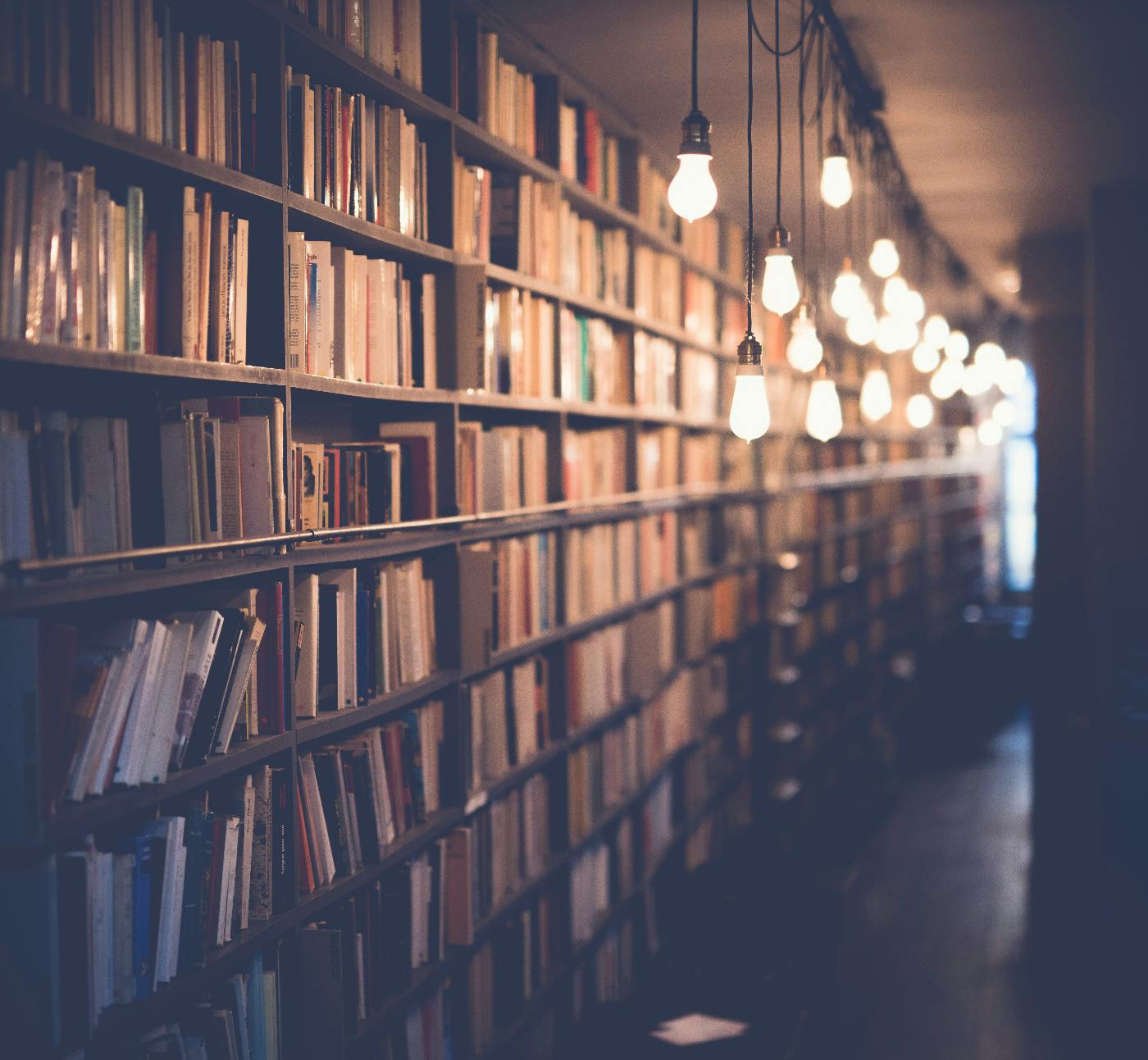 a library book shelf with low hanging light bulbs illuminating it.