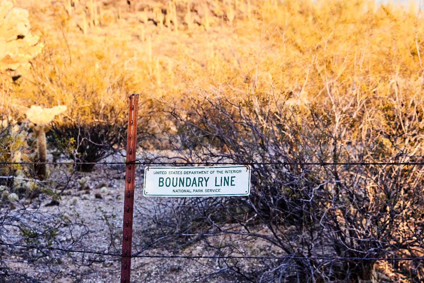 A barbed wire fence with a sign reding boundary line.