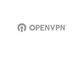 OpenVPN