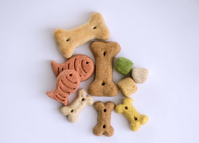 dog treats