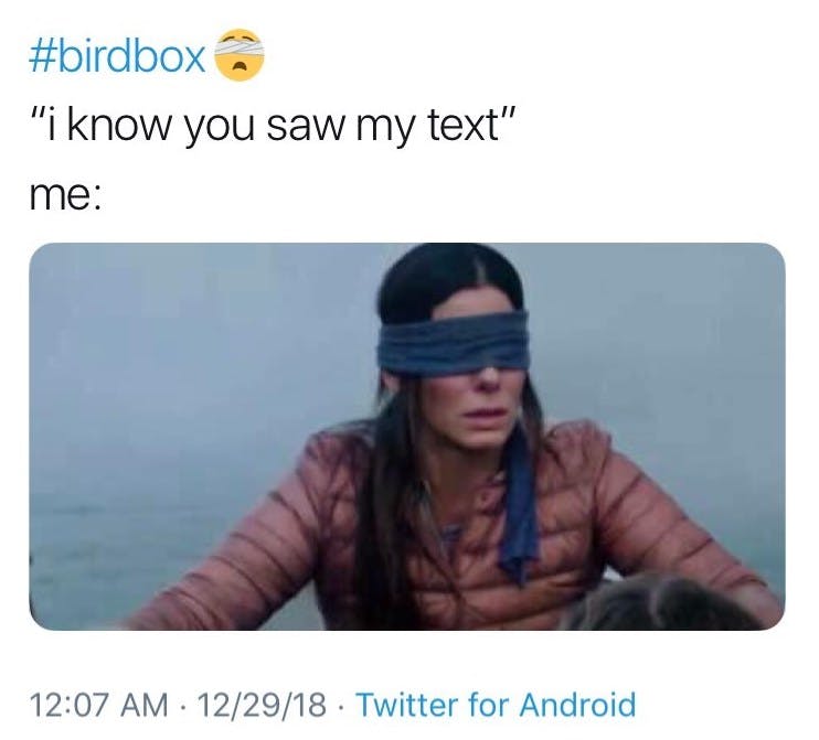 bird box meme