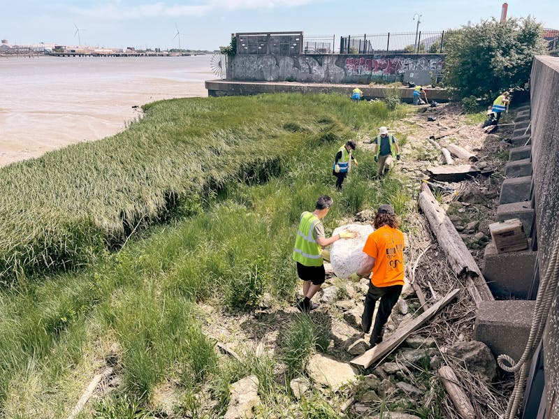 Inhabiting the Foreshore, 2023. Photo Three Rivers.