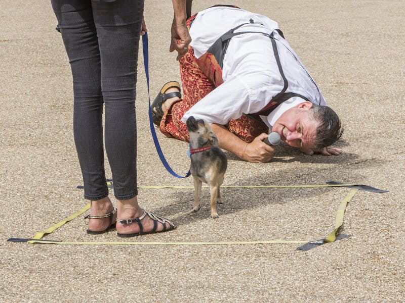 Thamesmead Dog Show. Photo: Rosie Reed Gold
