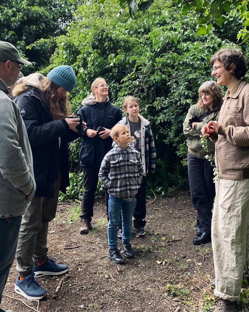 A group of 7 people wearing Autumn clothes are standing outdoors in a semi-circle. There are 2 children in the middle, the other 5 are adults, they seem to be talking and laughing. They are in a forest with very vibrant green bushes and trees behind them. 