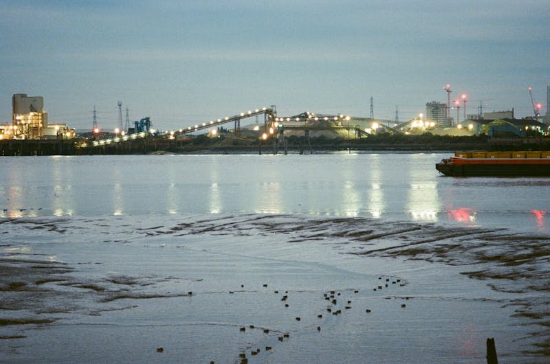 Analogue photo of a river shore at dusk. In the foreground, shallow water has receded to reveal wet sand, seaweed, and clusters of small dark ducks like black dots. The river runs bluish in fading light, with a small cargo train on the right. Across the water, cranes, warehouses, power lines, and mounds form an industrial shoreline, lit by white and pinkish lights that reflect on the river. The scene feels quiet, atmospheric, and softly grainy from the analogue film.