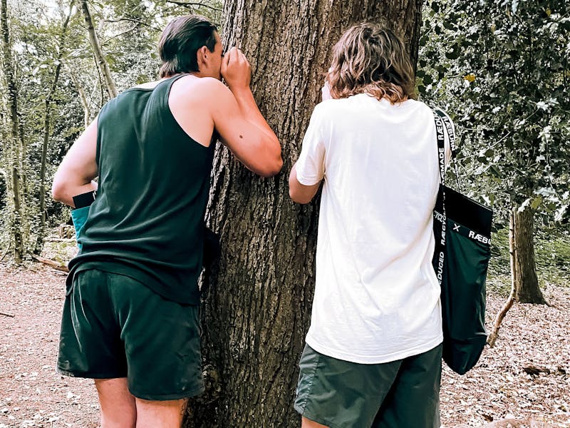 Two men are in the woods looking closely at the bark of a tree trunk using magnifying glasses.