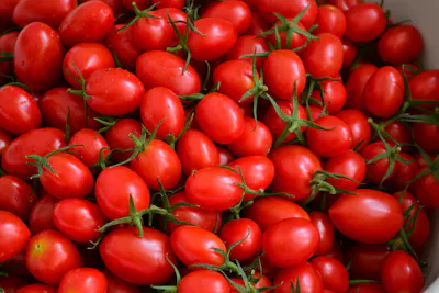 Food source of vitamin C — tomatoes