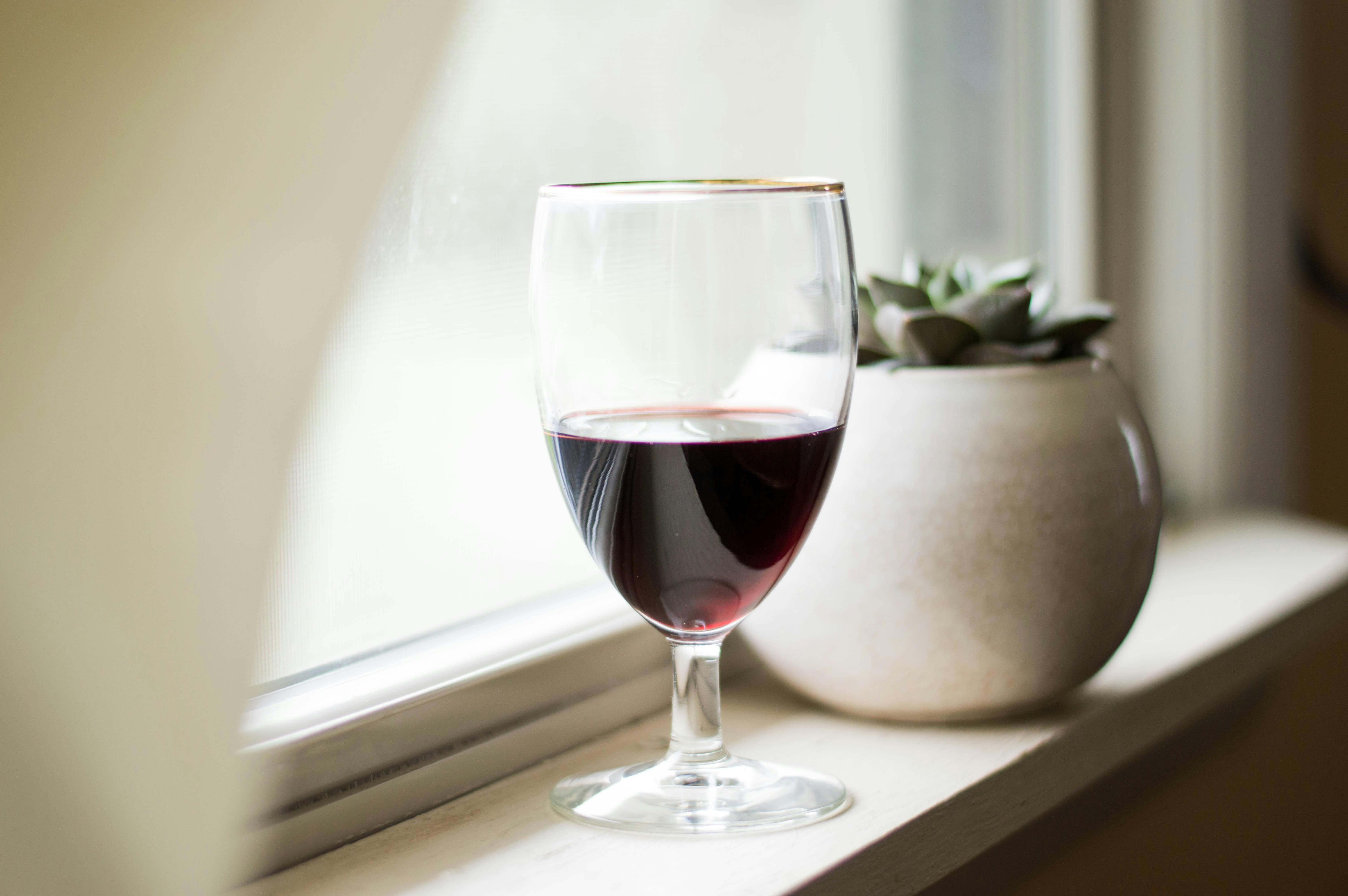 Wine glass on shelf next to plant