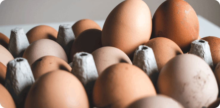 Eggs in egg basket