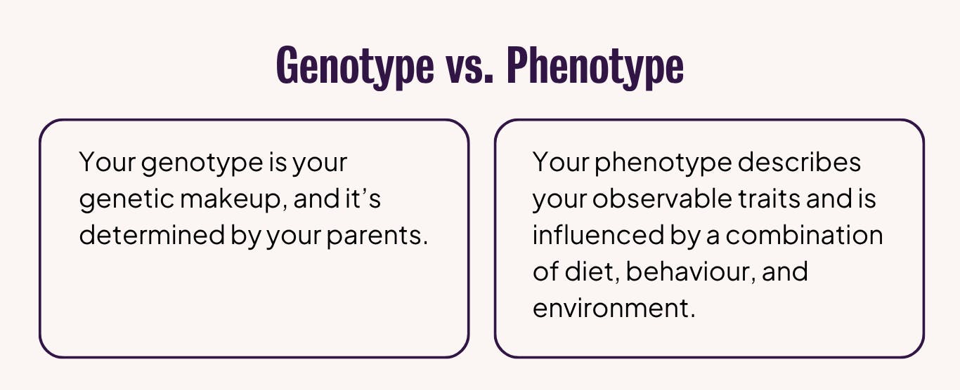 Definitions of genotype and phenotype.